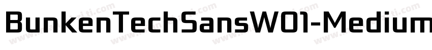 BunkenTechSansW01-Medium Regular字体转换